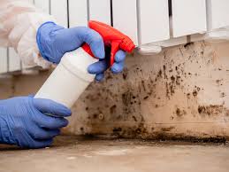 Best Emergency Mold Remediation in Manassas, VA